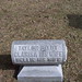Nellie Taylor Photo 32