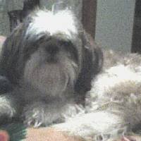 Ann Frye Photo 32