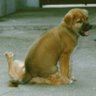 Ginger West Photo 30