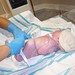 Elizabeth Madison Photo 25
