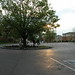 Sandra Krause Photo 21