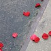 Rose Sweeney Photo 20