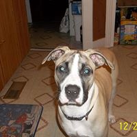 Nancy Charlton Photo 26