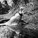 Annie Traynor Photo 8