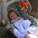 Becky Miner Photo 22
