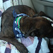 Vicki Long Photo 11