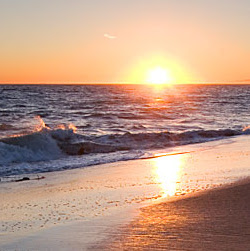 Sandy Cohen Photo 17