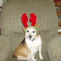 Gail Thompson Photo 40
