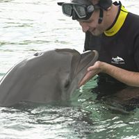 Michael Vitale Photo 33