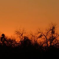 Dianne Simpson Photo 29