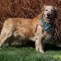 Sunny Johnston Photo 18