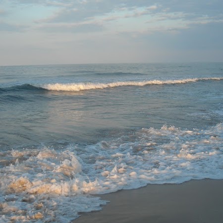 Timothy Howard Photo 35