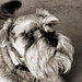 Gary Childers Photo 22