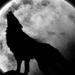 Leo Wolf Photo 33