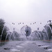 Donald Hoover Photo 19