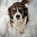 Brandi Snow Photo 12