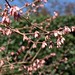 Karen Woodard Photo 19