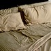 Kimberly Elms Photo 9