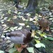 Lora Ponds Photo 4
