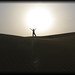 Travis Allen Photo 28