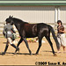 Mary Canter Photo 27