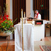 David Norgard Photo 11