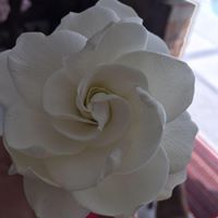 Nancy Toler Photo 10