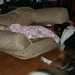 Carrie Stratton Photo 8