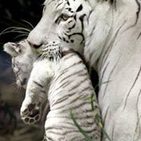Teresa Anglin Photo 6