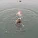 Dan Mclaughlin Photo 30