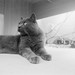 James Asher Photo 56