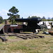 Steven Cannon Photo 18