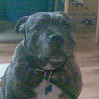 Jayne Todd Photo 7
