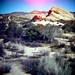 Diana Sage Photo 25