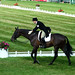 Dennis Matthews Photo 13