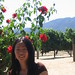 Jane Gross Photo 11