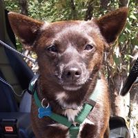 Piper Rodgers Photo 4