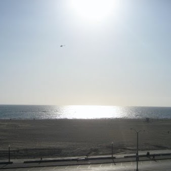 Michael Shulman Photo 47