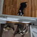 Leroy Gates Photo 13