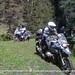 Neil Reynolds Photo 35