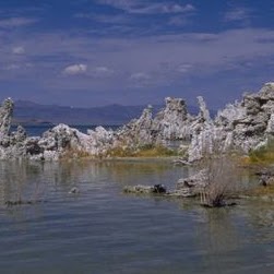 Martin Goodwin Photo 4