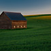 Kevin Whitman Photo 21