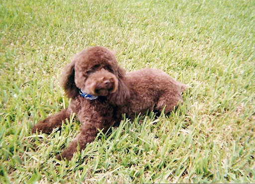 Cindy Rayburn Photo 2