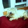 Nancy Olive Photo 18