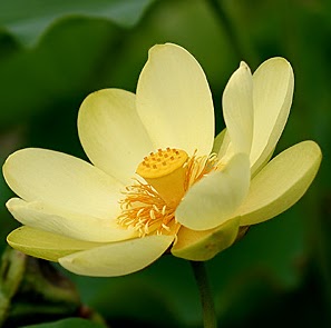 Binh Huynh Photo 12