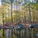 Sandy Parks Photo 21