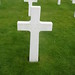 Elizabeth Normandy Photo 4
