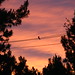 Robin Cooley Photo 18