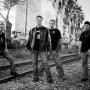 Cliff Taylor Photo 13