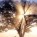 Sharon Burr Photo 9